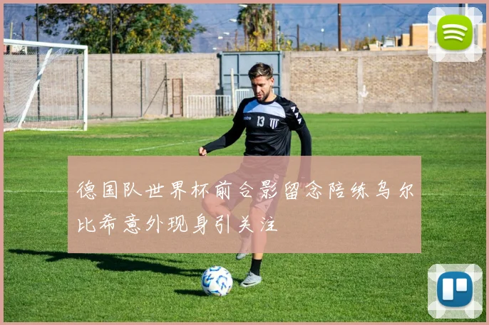 德国队世界杯前合影留念陪练乌尔比希意外现身引关注